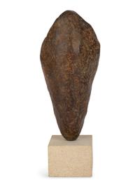 Head