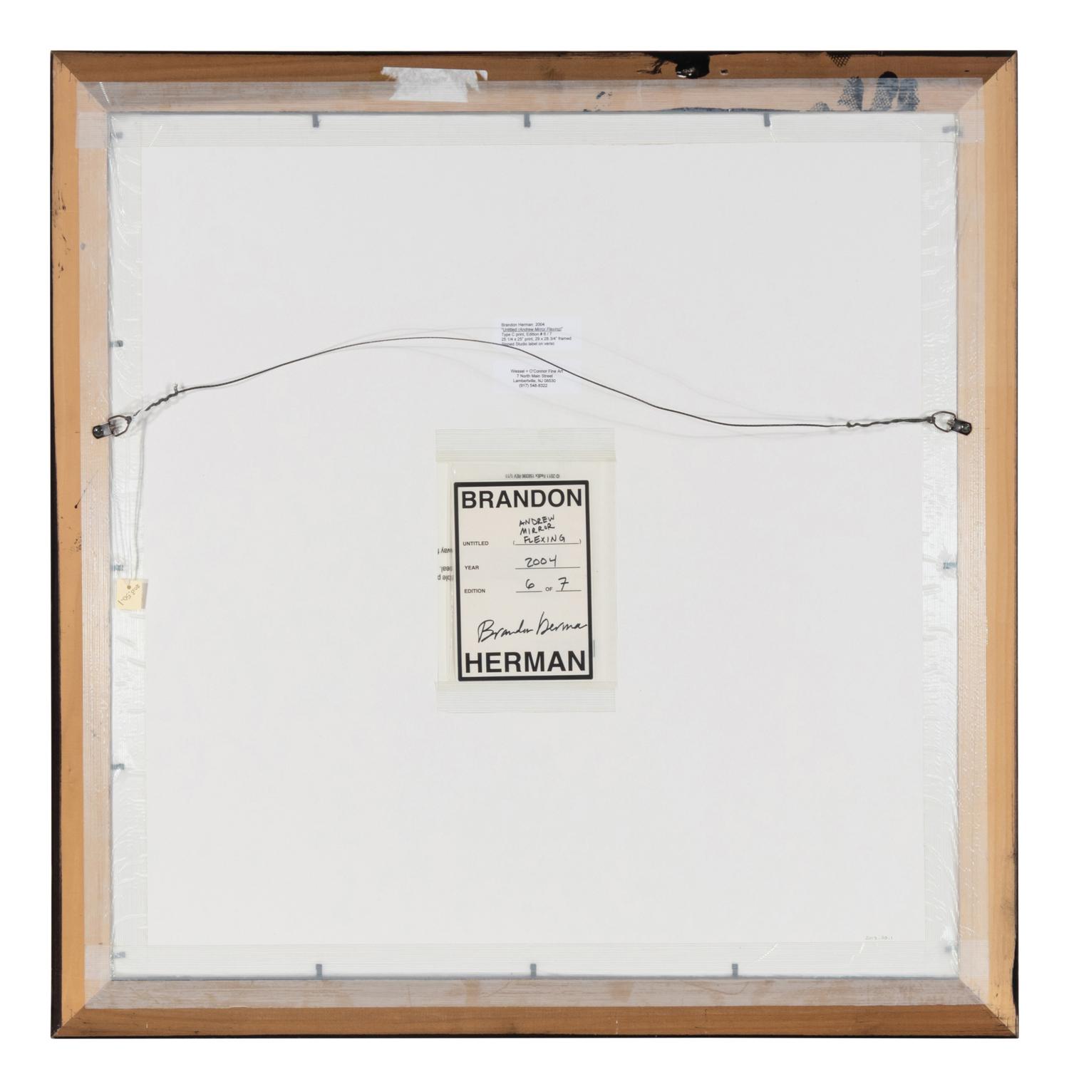 Untitled (Andrew Mirror Flexing), 2006