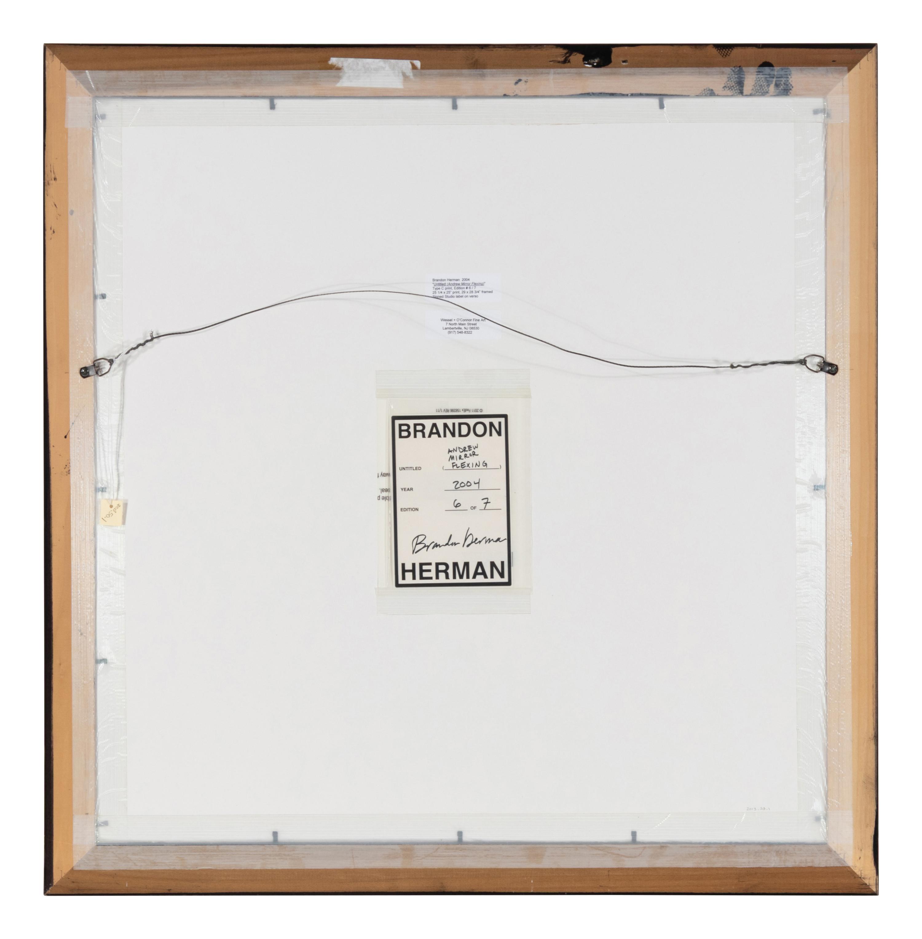 Untitled (Andrew Mirror Flexing), 2006