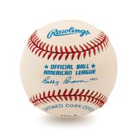 A Ted Williams Signed Baseball