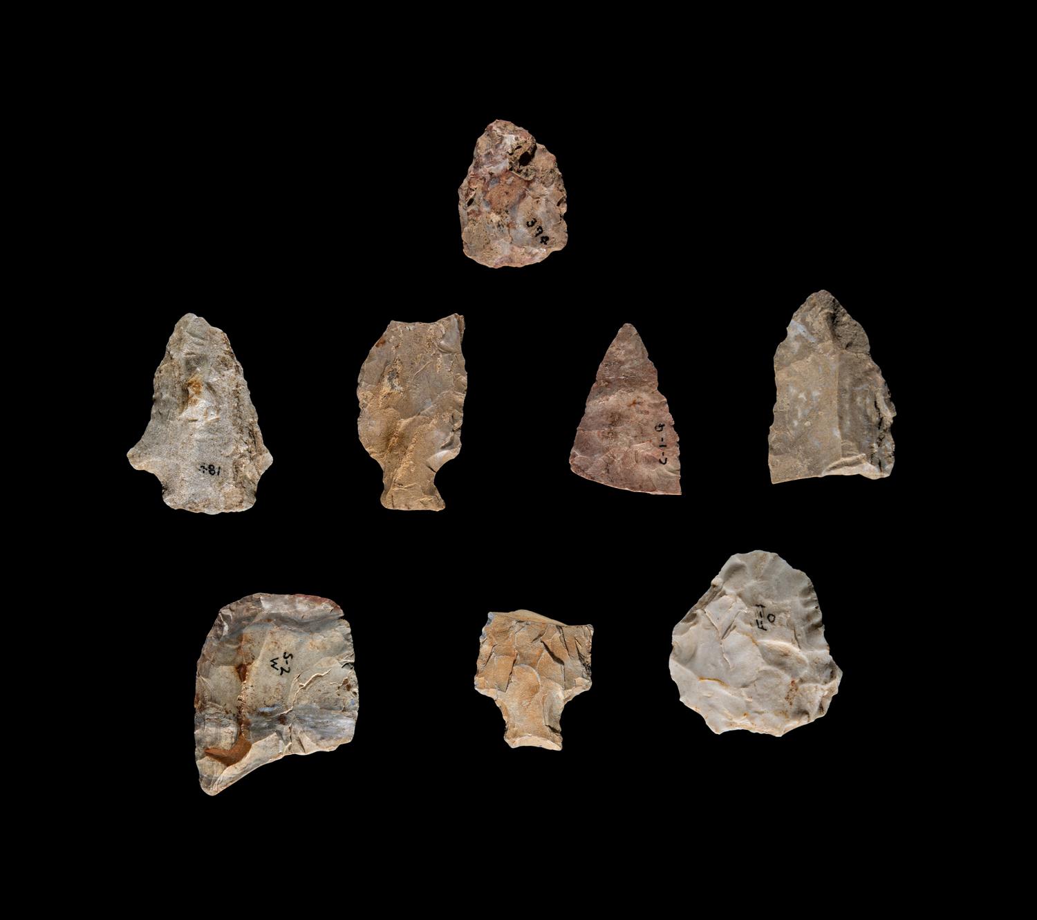 Eight Paleolithic Stone Flakes