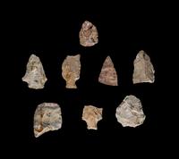 Eight Paleolithic Stone Flakes