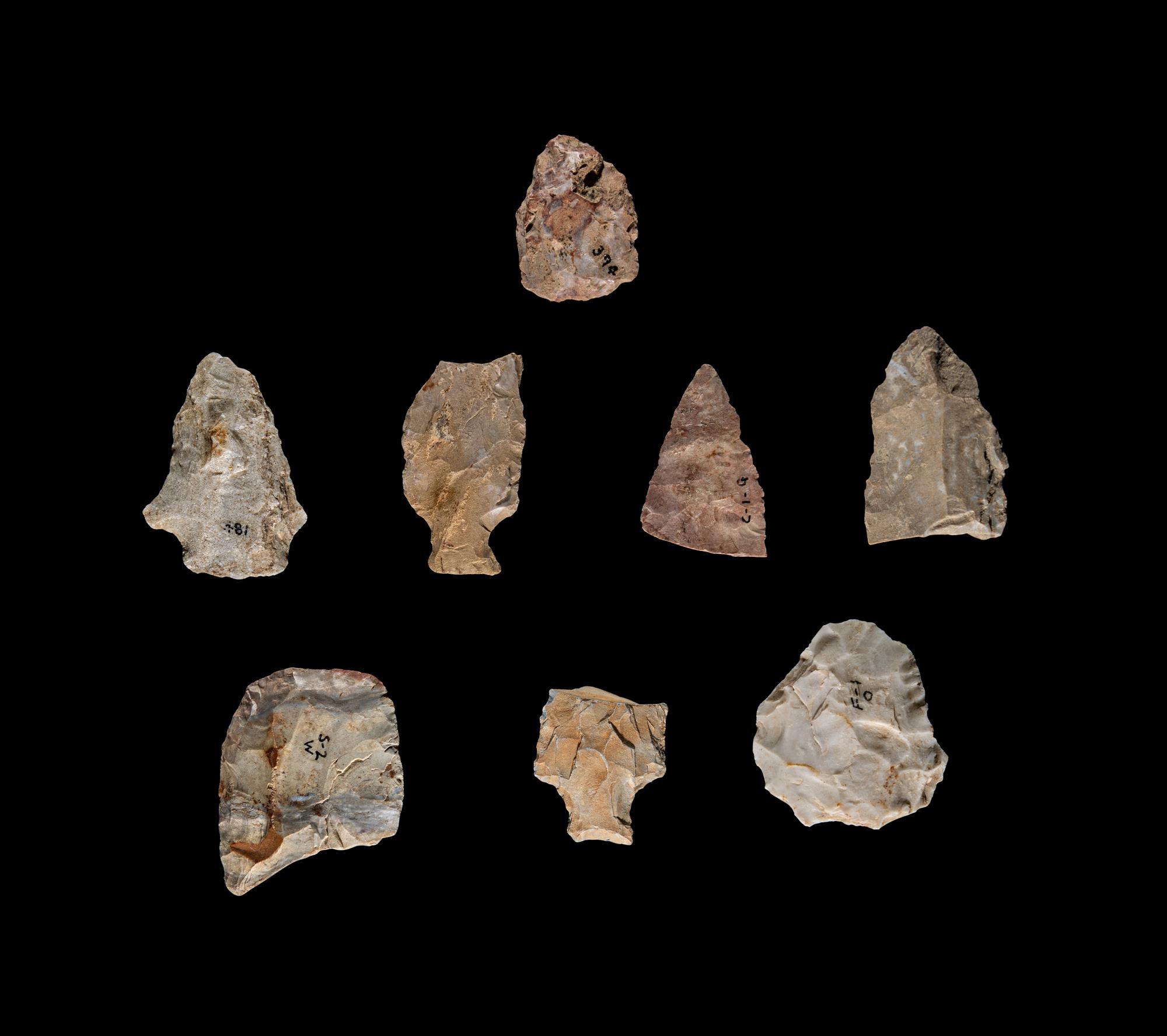 Eight Paleolithic Stone Flakes