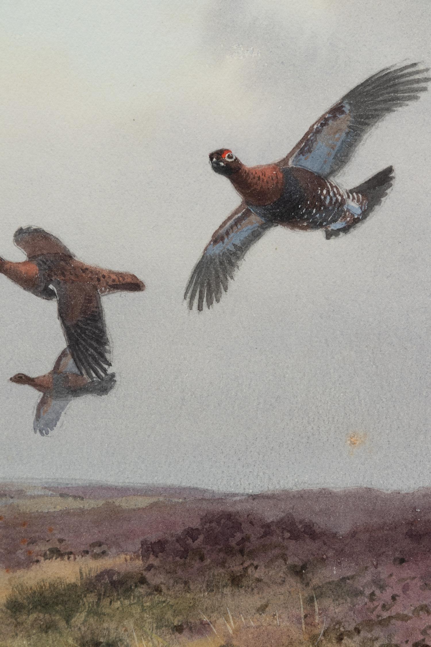 Pheasants in Flight