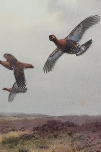 Pheasants in Flight