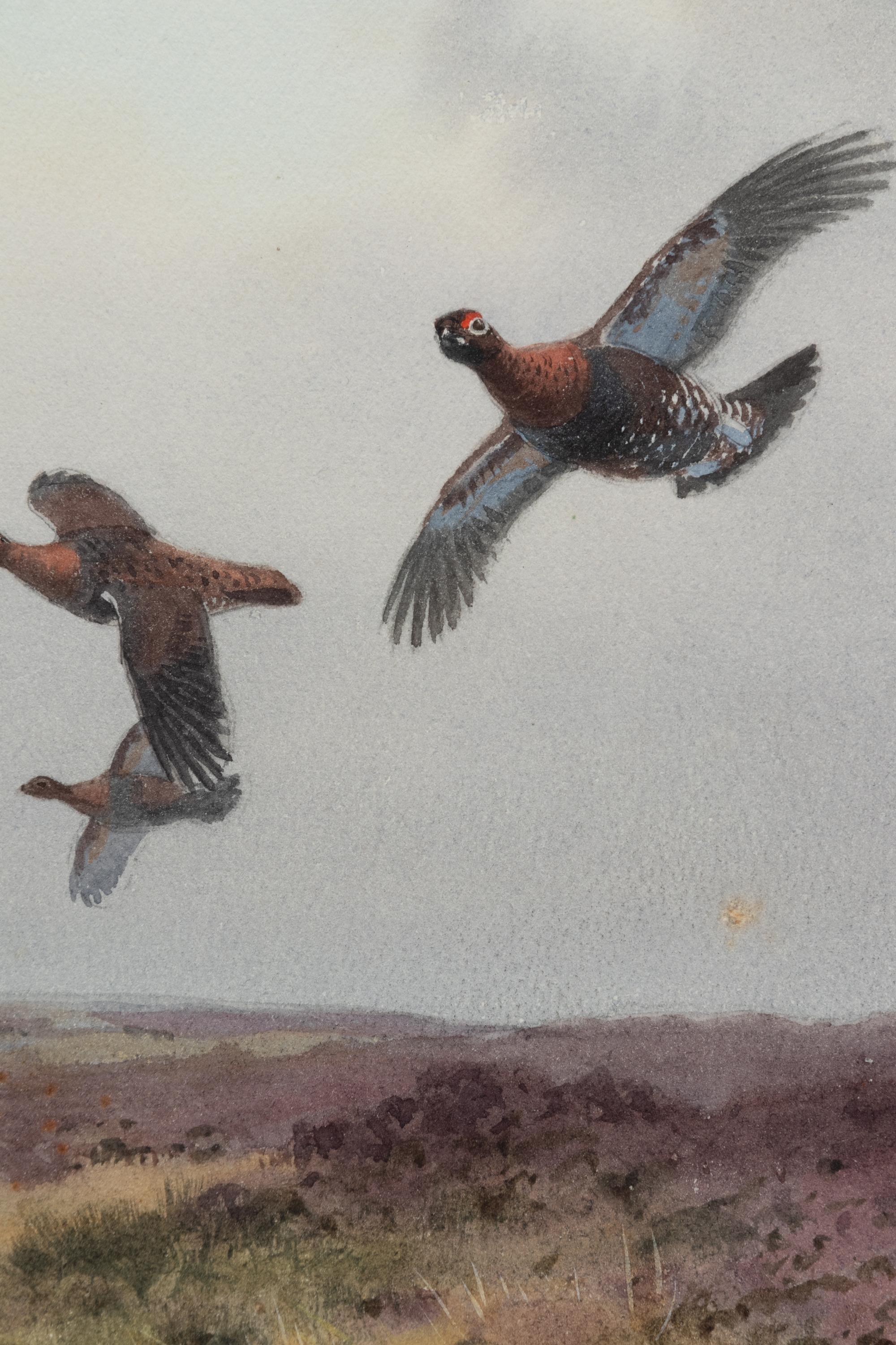 Pheasants in Flight