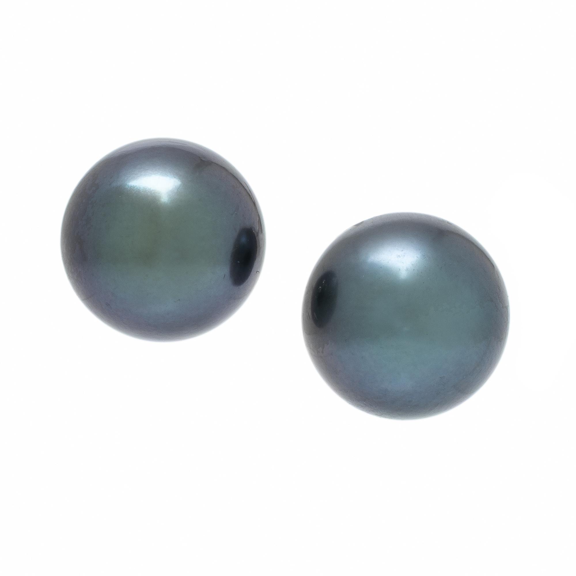 Cultured Black Pearl and Platinum Earrings