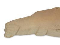 Whale