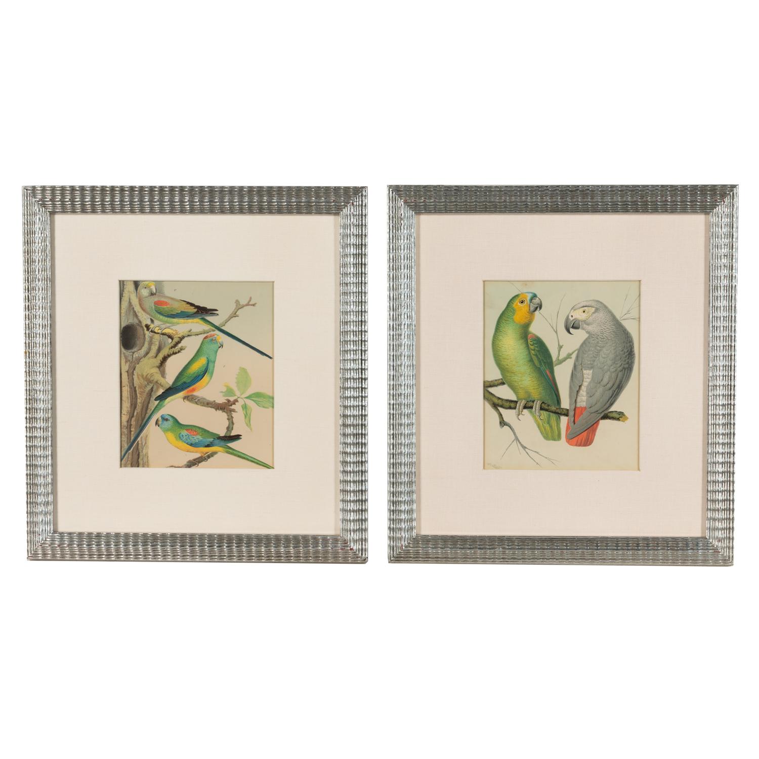 The Illustrated Book of Canaries and Cage-Birds, British and Foreign Cassell & Co., Limited: Six Plates