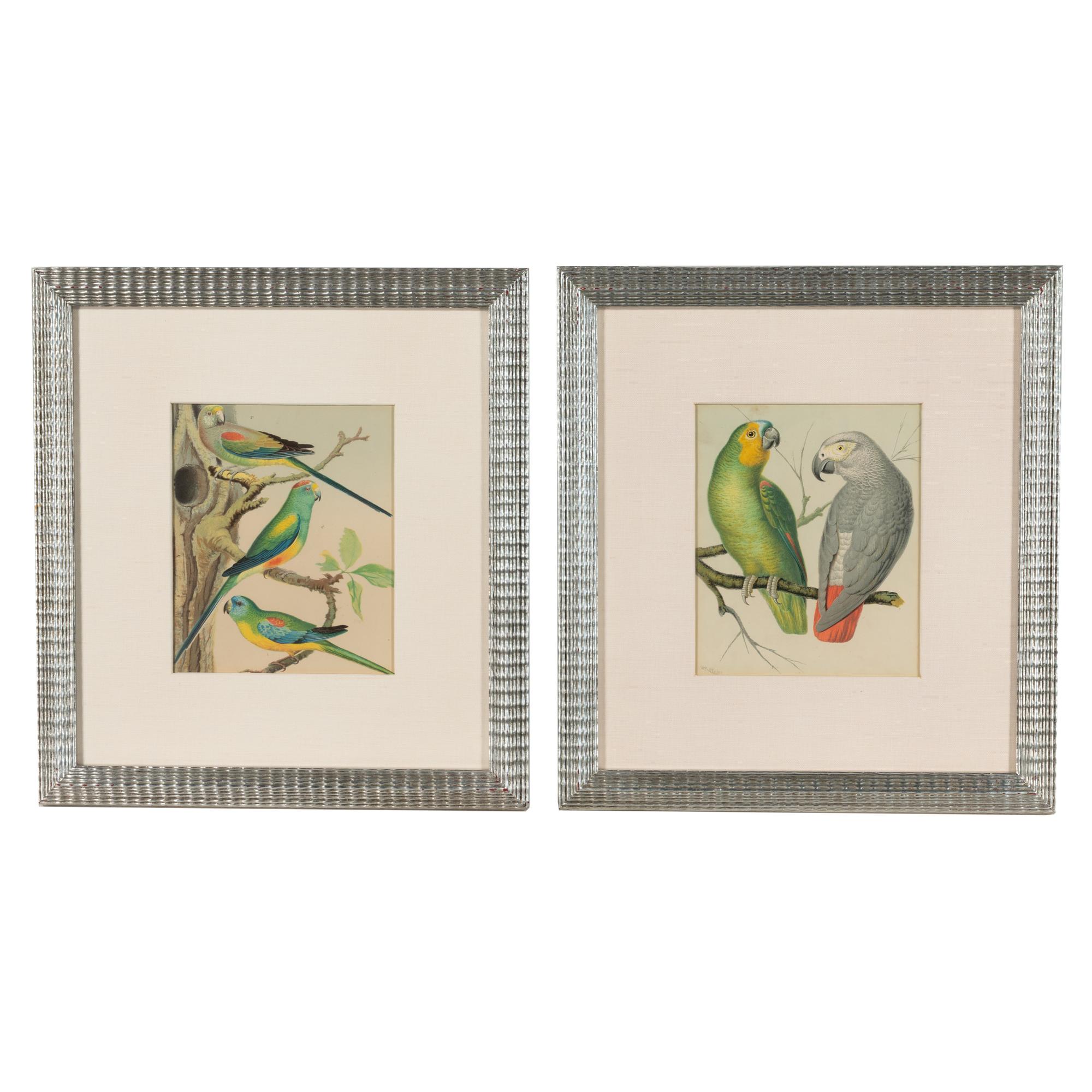 The Illustrated Book of Canaries and Cage-Birds, British and Foreign Cassell & Co., Limited: Six Plates