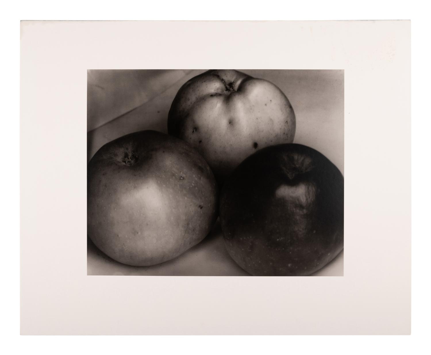 A group of fourteen photographs (from Twenty-Five Photographs printed by George Tice with labels signed by George Tice and Joanna Steichen)