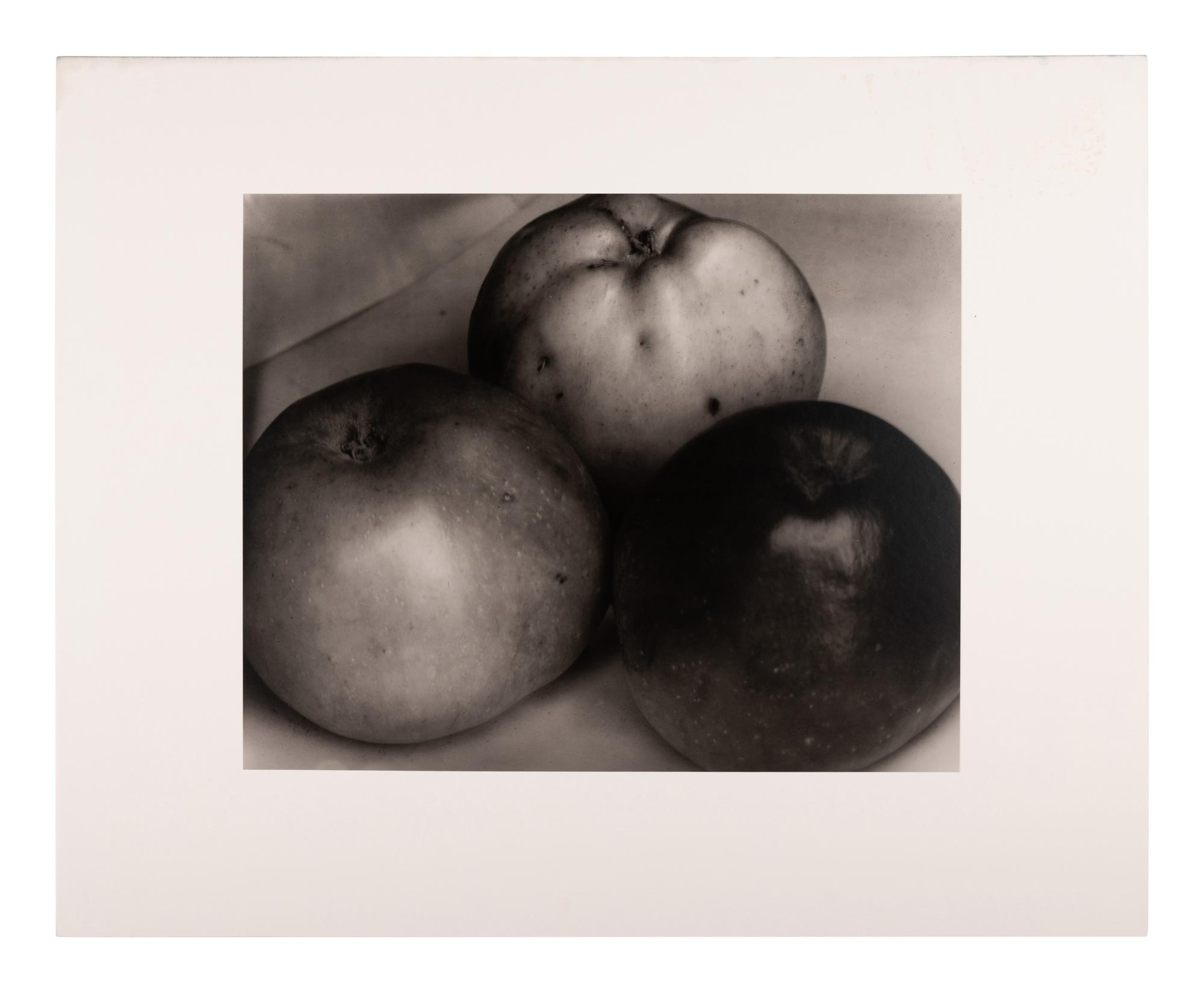 A group of fourteen photographs (from Twenty-Five Photographs printed by George Tice with labels signed by George Tice and Joanna Steichen)