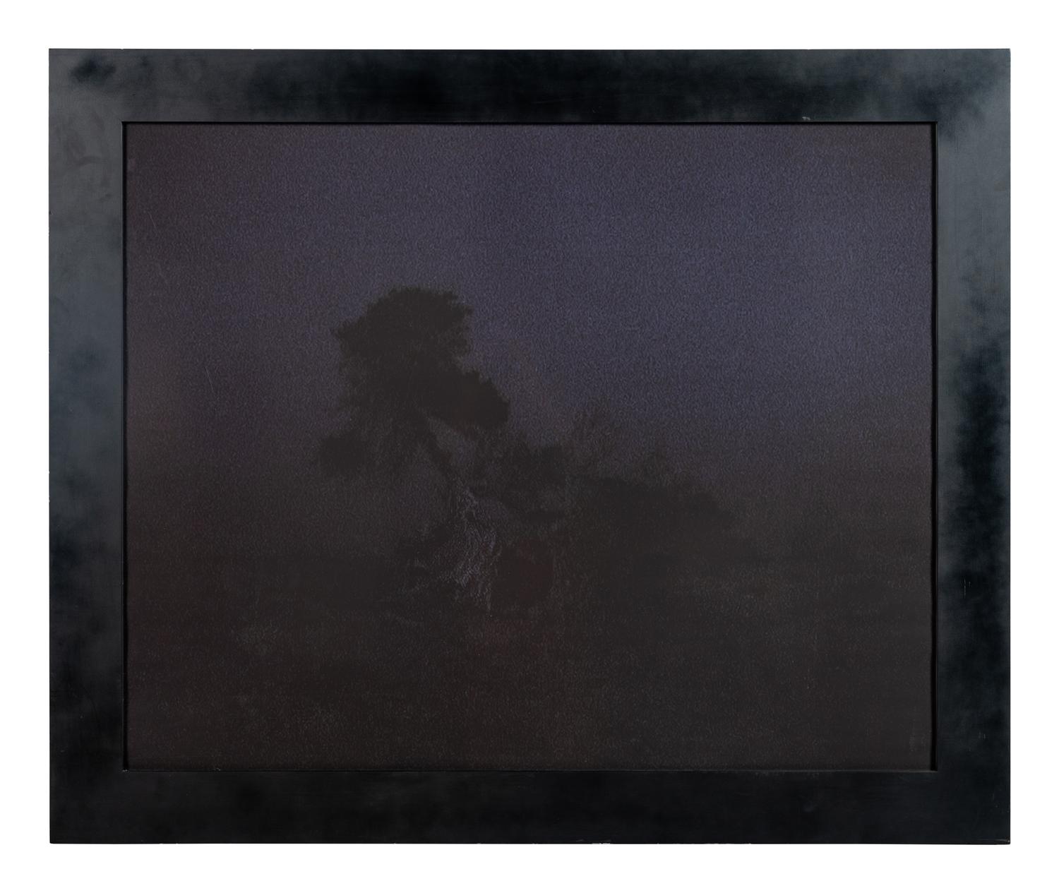 The Tree at the Edge of the World, Sabmar, La Dahesa, El Hierro, March, 2002-2004