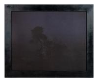 The Tree at the Edge of the World, Sabmar, La Dahesa, El Hierro, March, 2002-2004