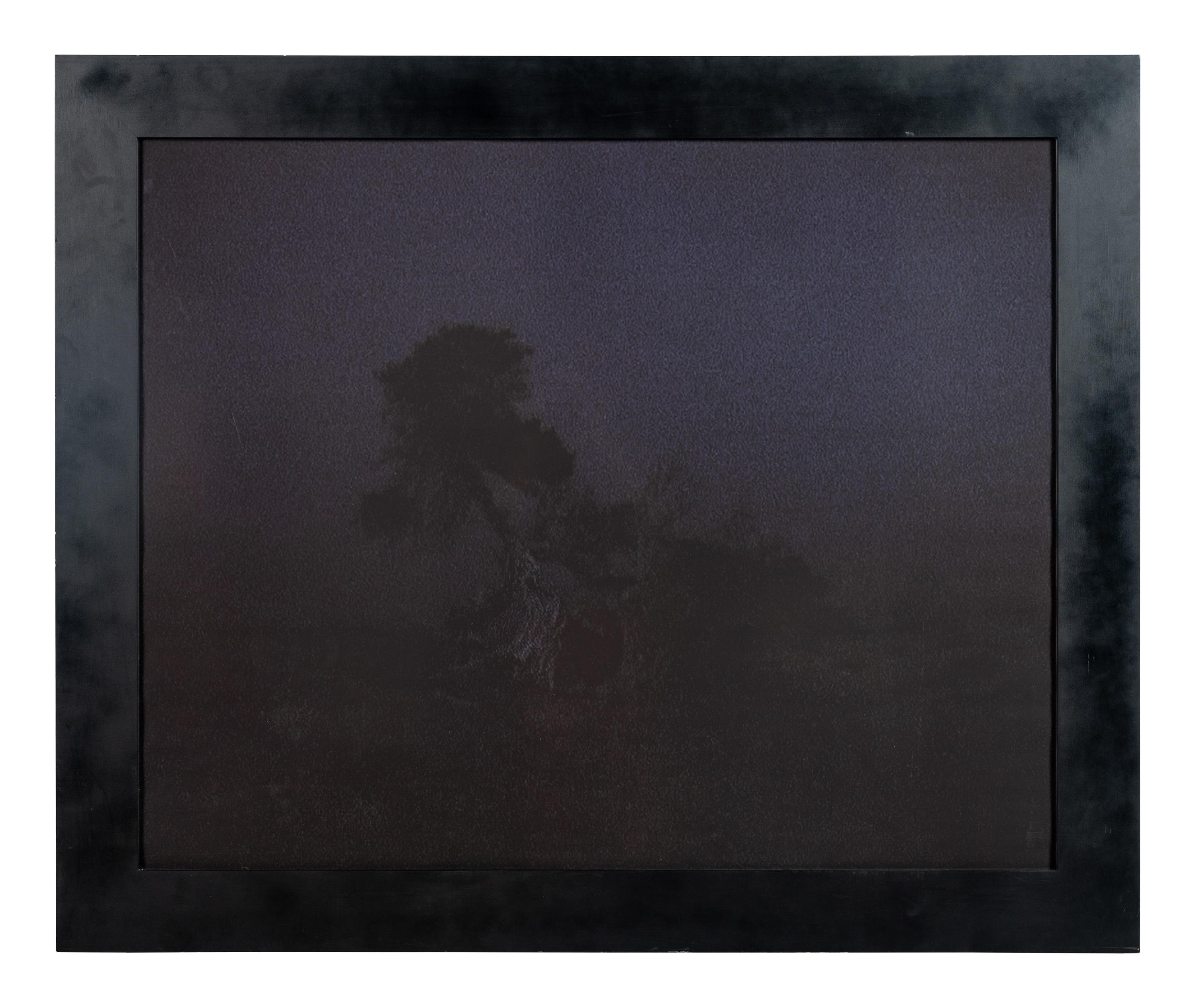 The Tree at the Edge of the World, Sabmar, La Dahesa, El Hierro, March, 2002-2004