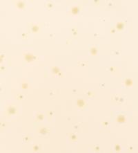 Flowers, Rain, Snow, and Wind - Rain on Paper