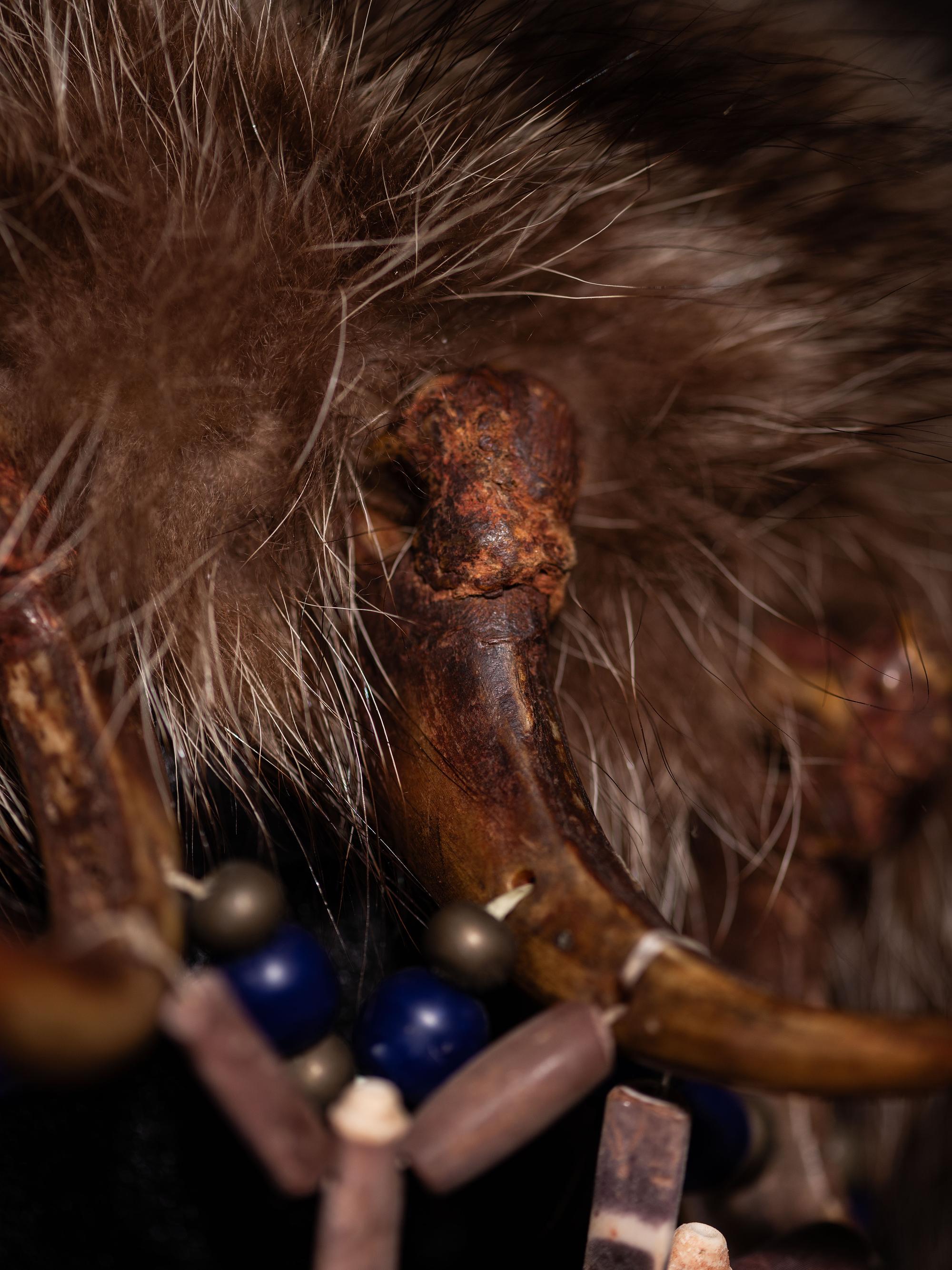 Northern Plains Bear Claw Necklace