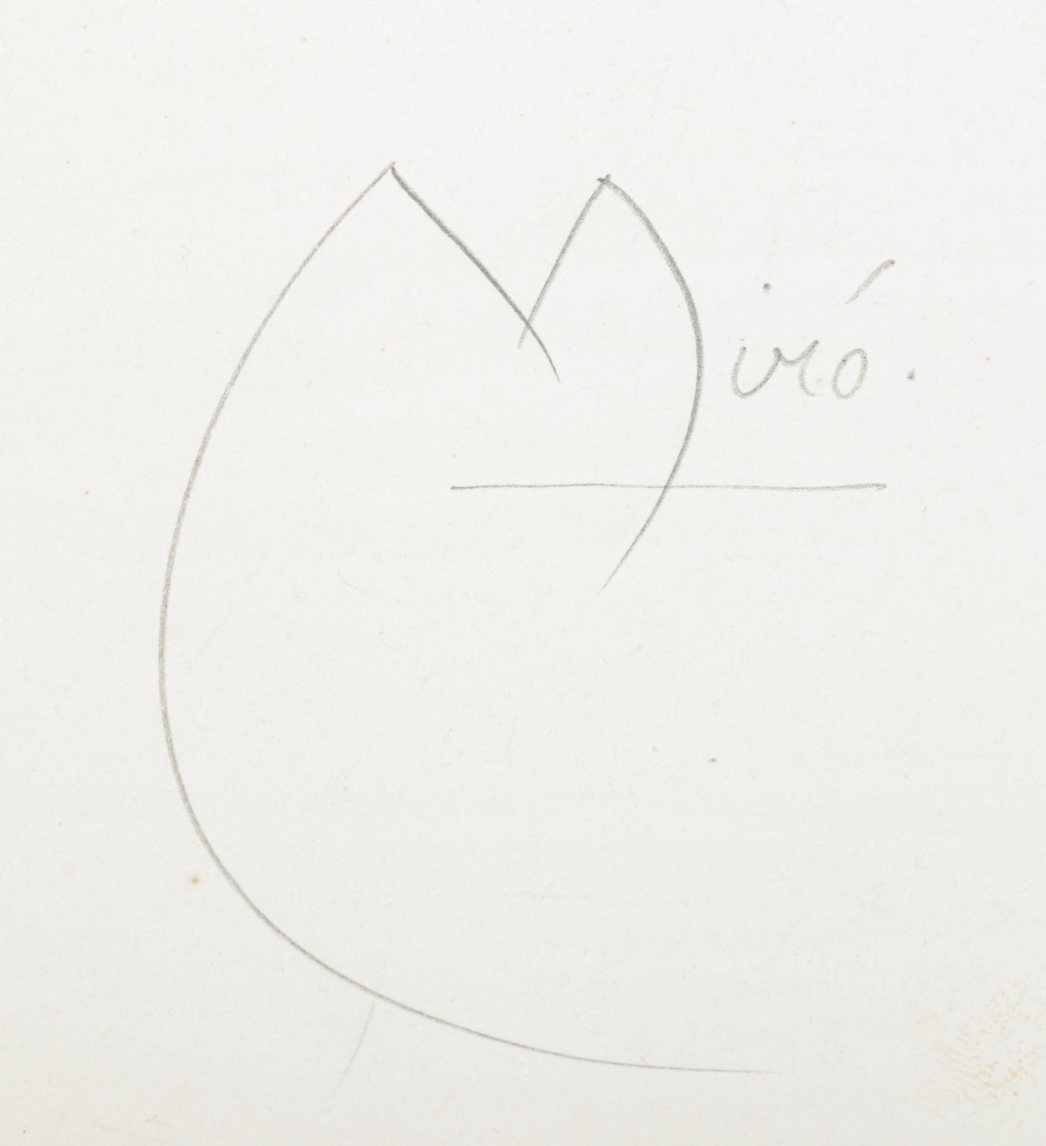 L'oiseau de nuit