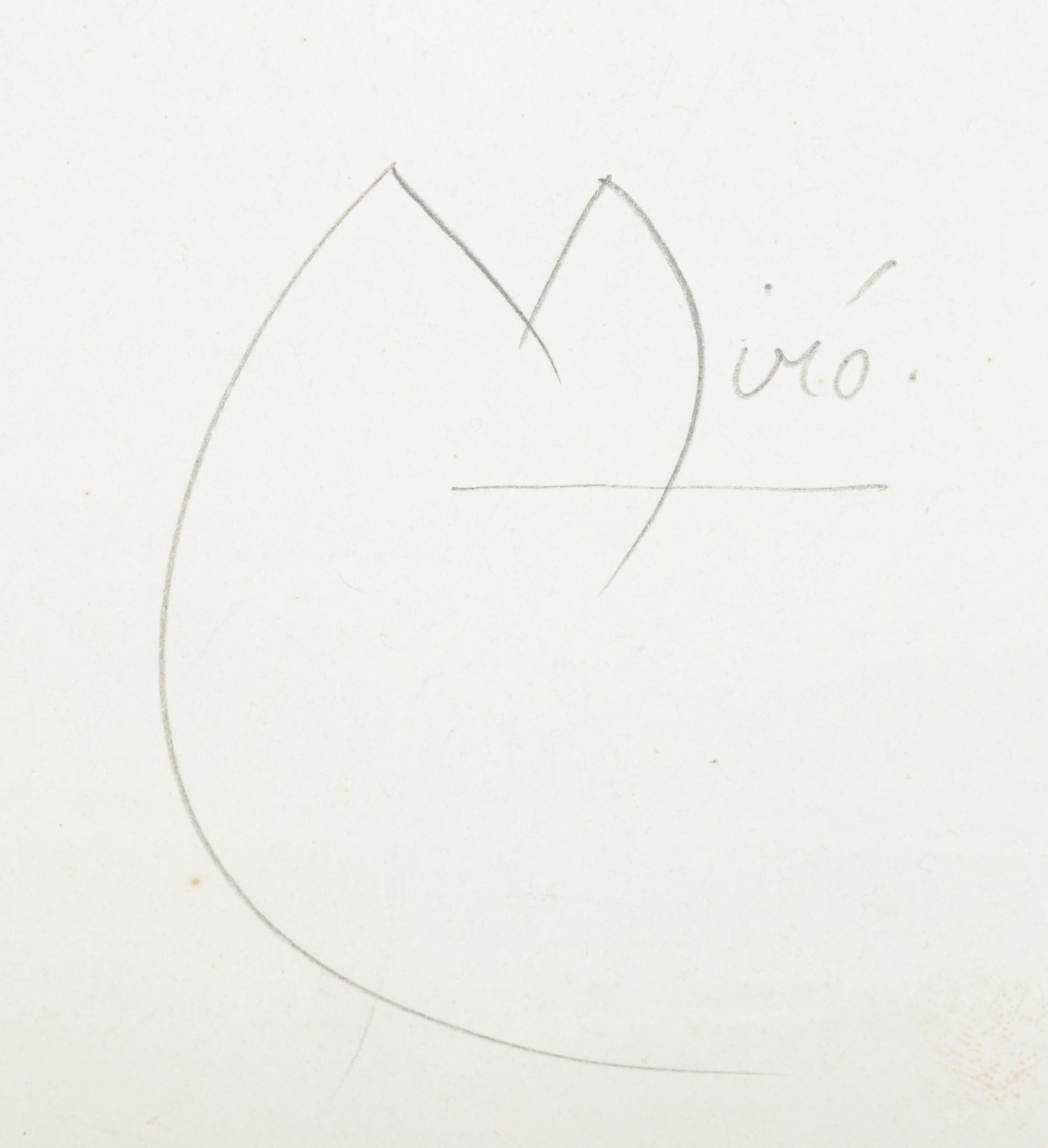 L'oiseau de nuit