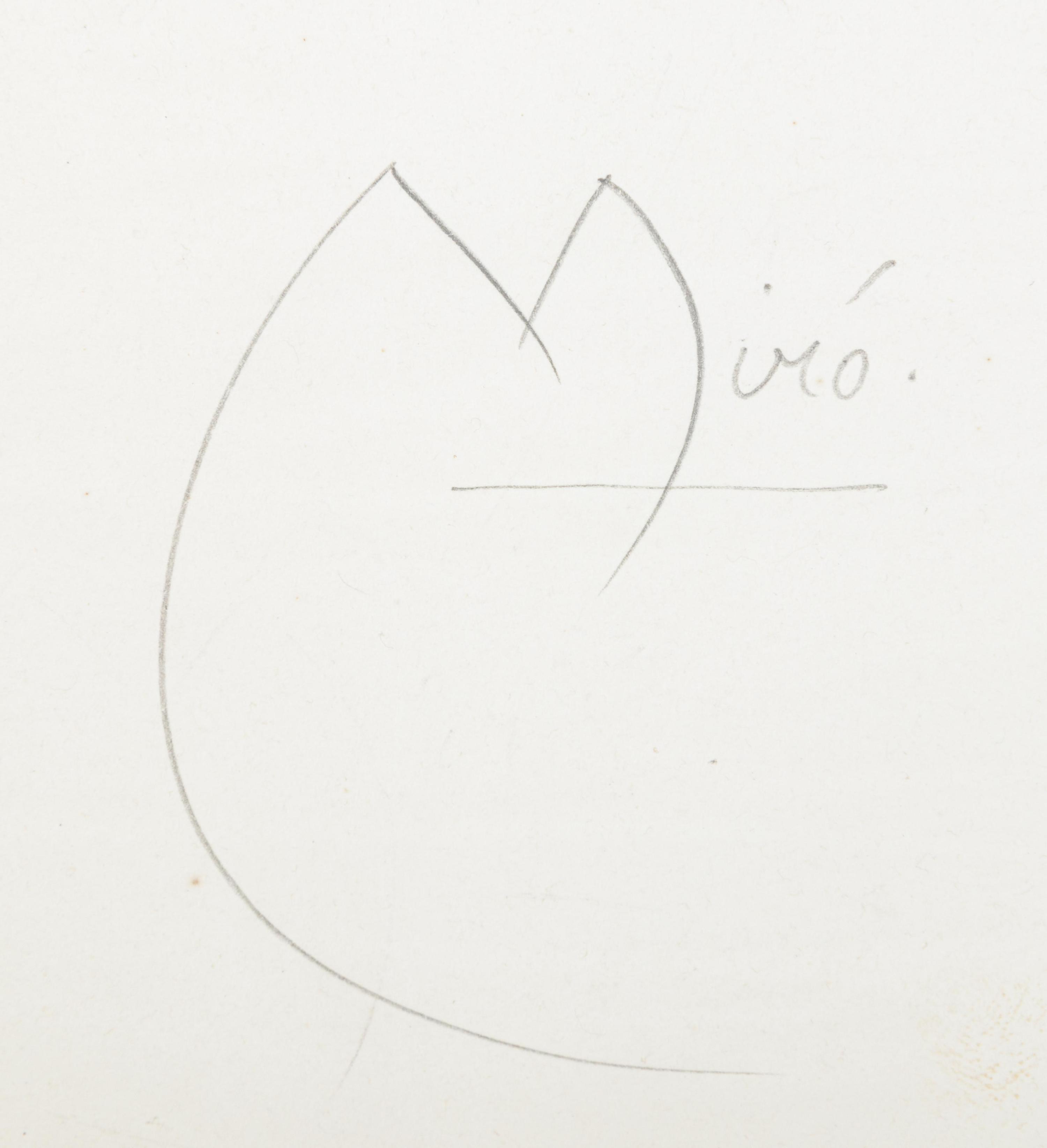 L'oiseau de nuit