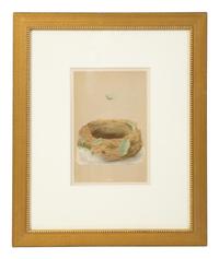 A Set of Six Prints from A Natural History of the Nests and Eggs of British Birds , by Rev. Francis O. Morris, B.A. (Irish, 1810-1893)