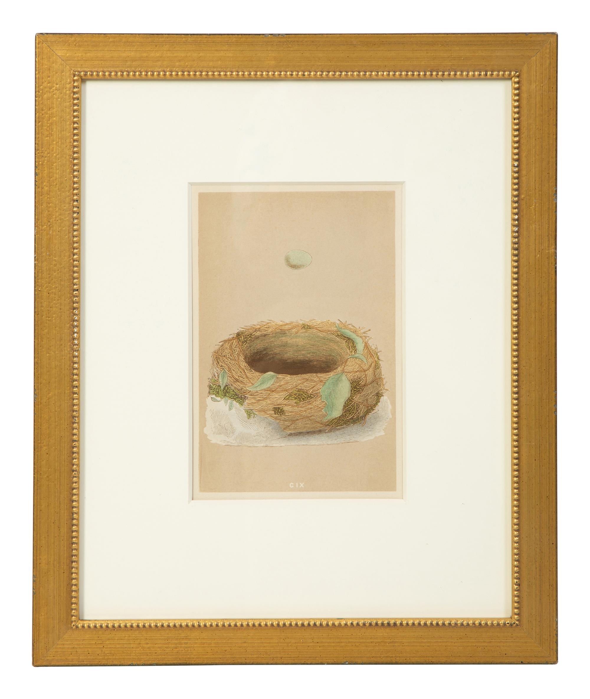 A Set of Six Prints from A Natural History of the Nests and Eggs of British Birds , by Rev. Francis O. Morris, B.A. (Irish, 1810-1893)