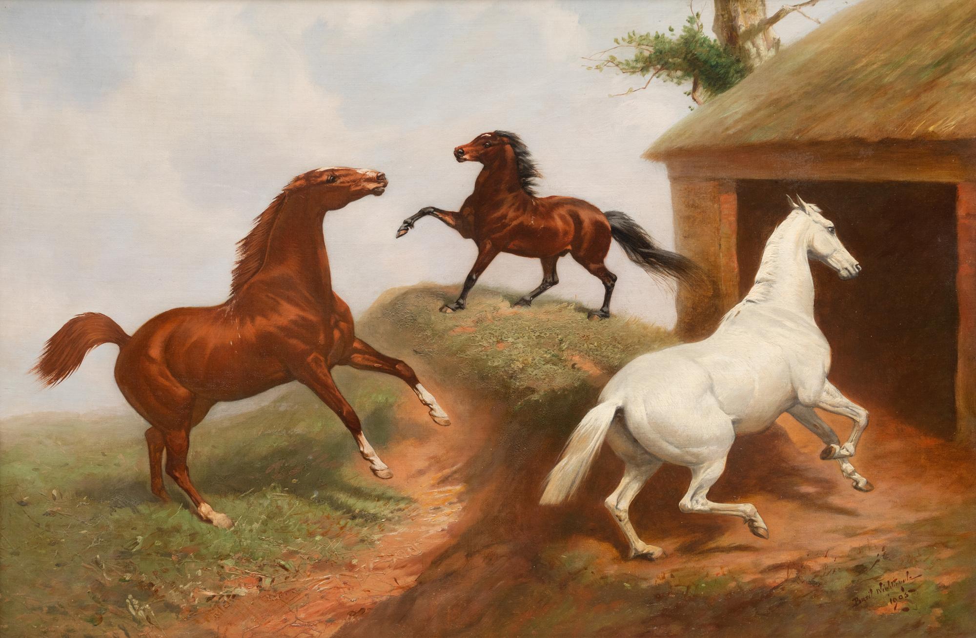 Horse Study