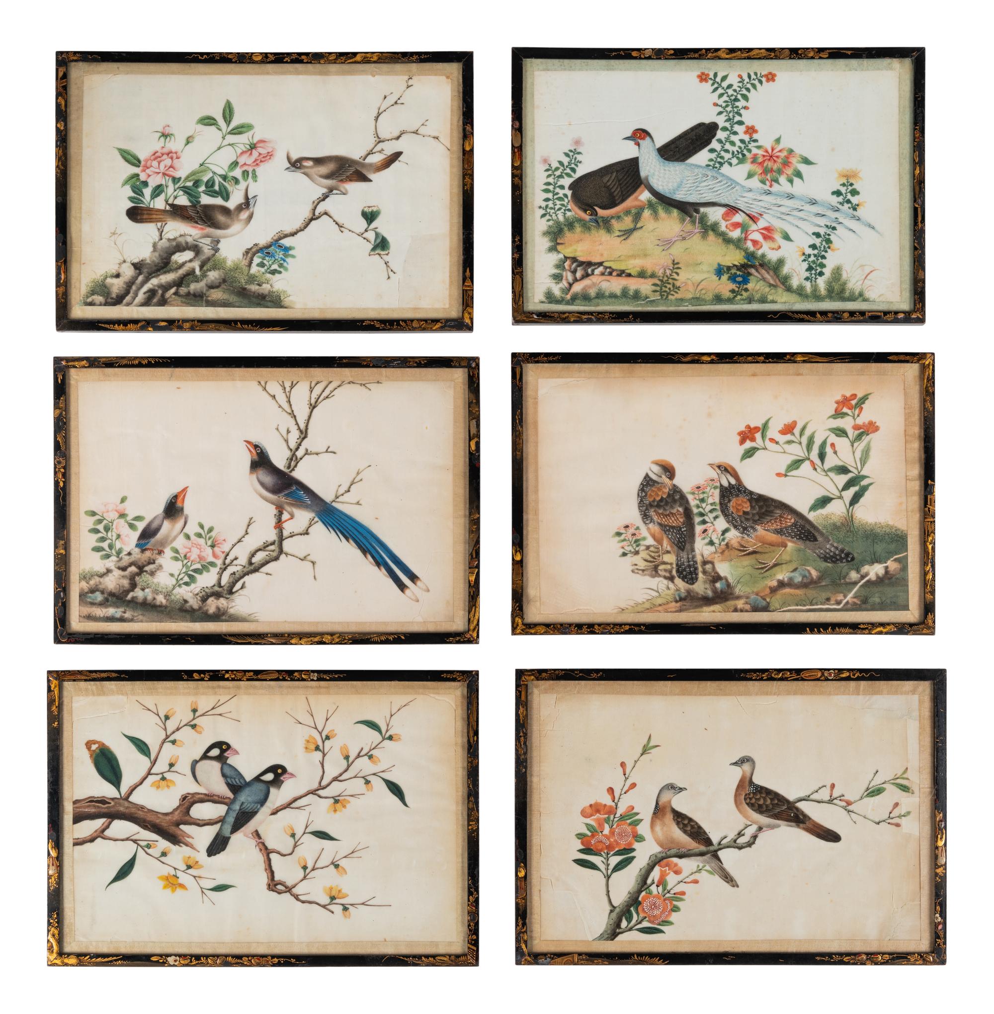 Six Chinese Export Pith Paintings