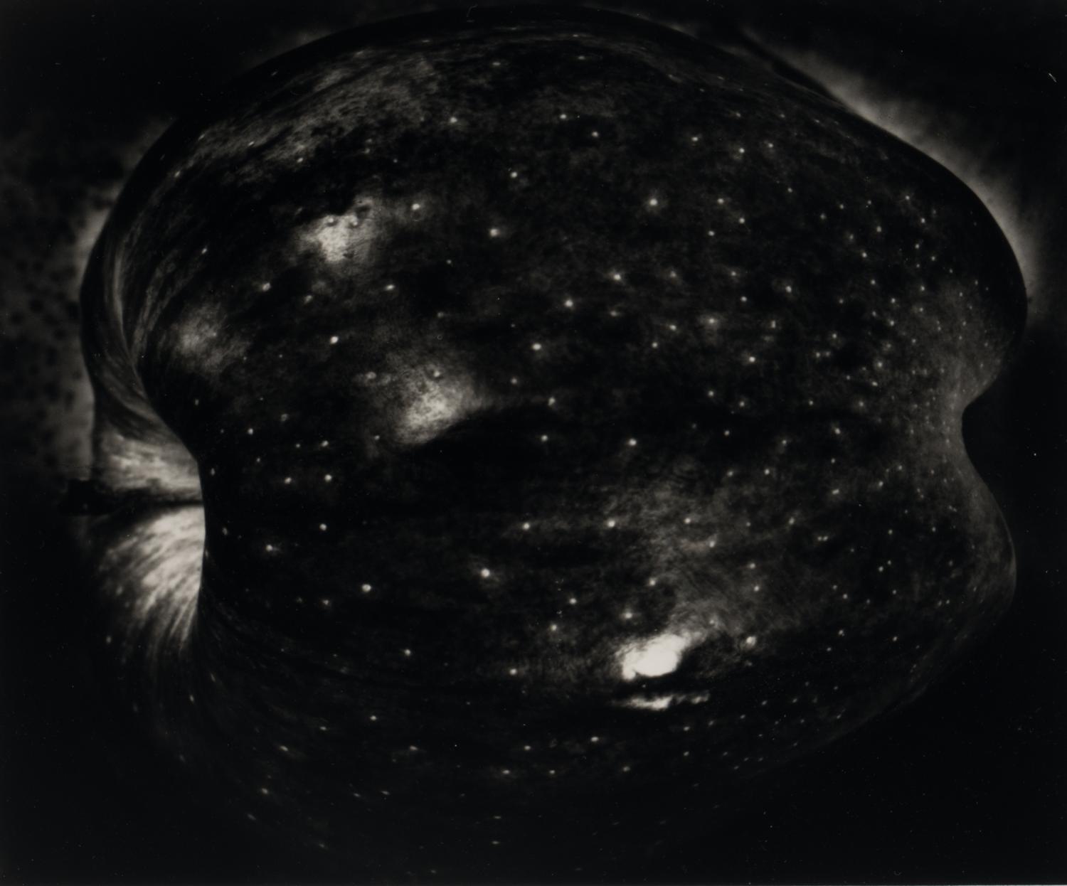 Galaxy Apple, New York, 1962