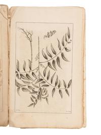 RUMPF, Georg Eberhard (1628-1702). Herbarii Amboinesis Auctuarium ... Het Auctuarium ofte Vermeerdering op her Amboinsch Kruyd-Boek . Amsterdam: Mynard Uytwerf et al, 1755.