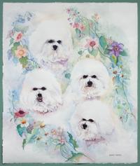 A Watercolor depicting Bichon Frise Sheet: 22 x 18 1/2 inches.