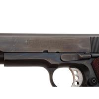 *Colt Delta Elite 10mm Custom