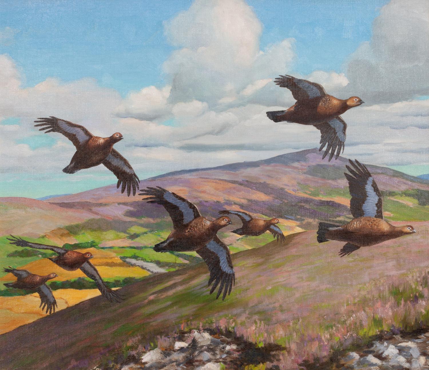 Scotch Grouse