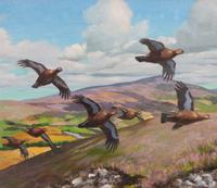Scotch Grouse