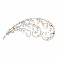 Edwardian, Diamond and Platinum Feather Brooch