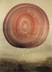 The Flowering (The Fourfold Sense), 2007 (complete portfolio of thirteen)
