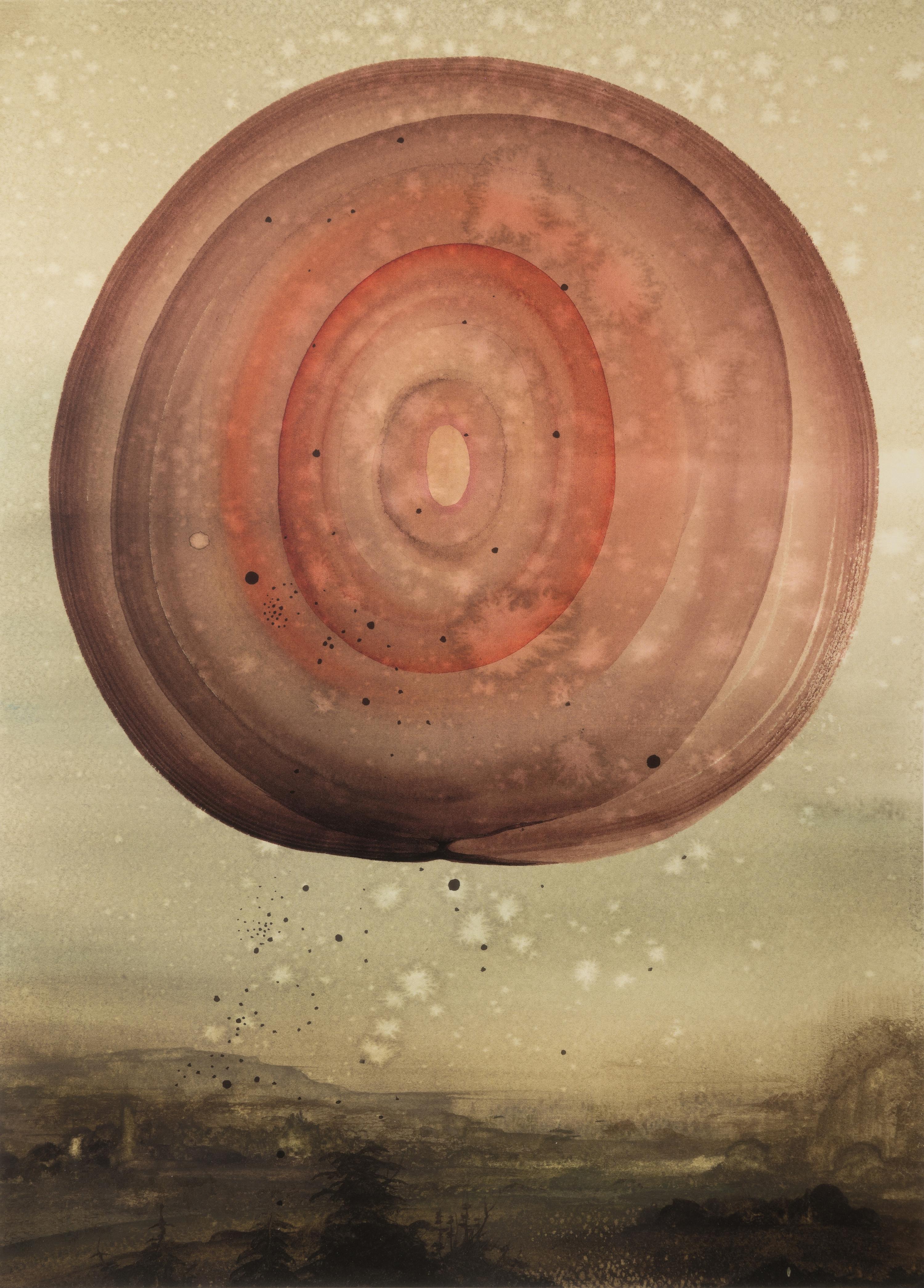 The Flowering (The Fourfold Sense), 2007 (complete portfolio of thirteen)