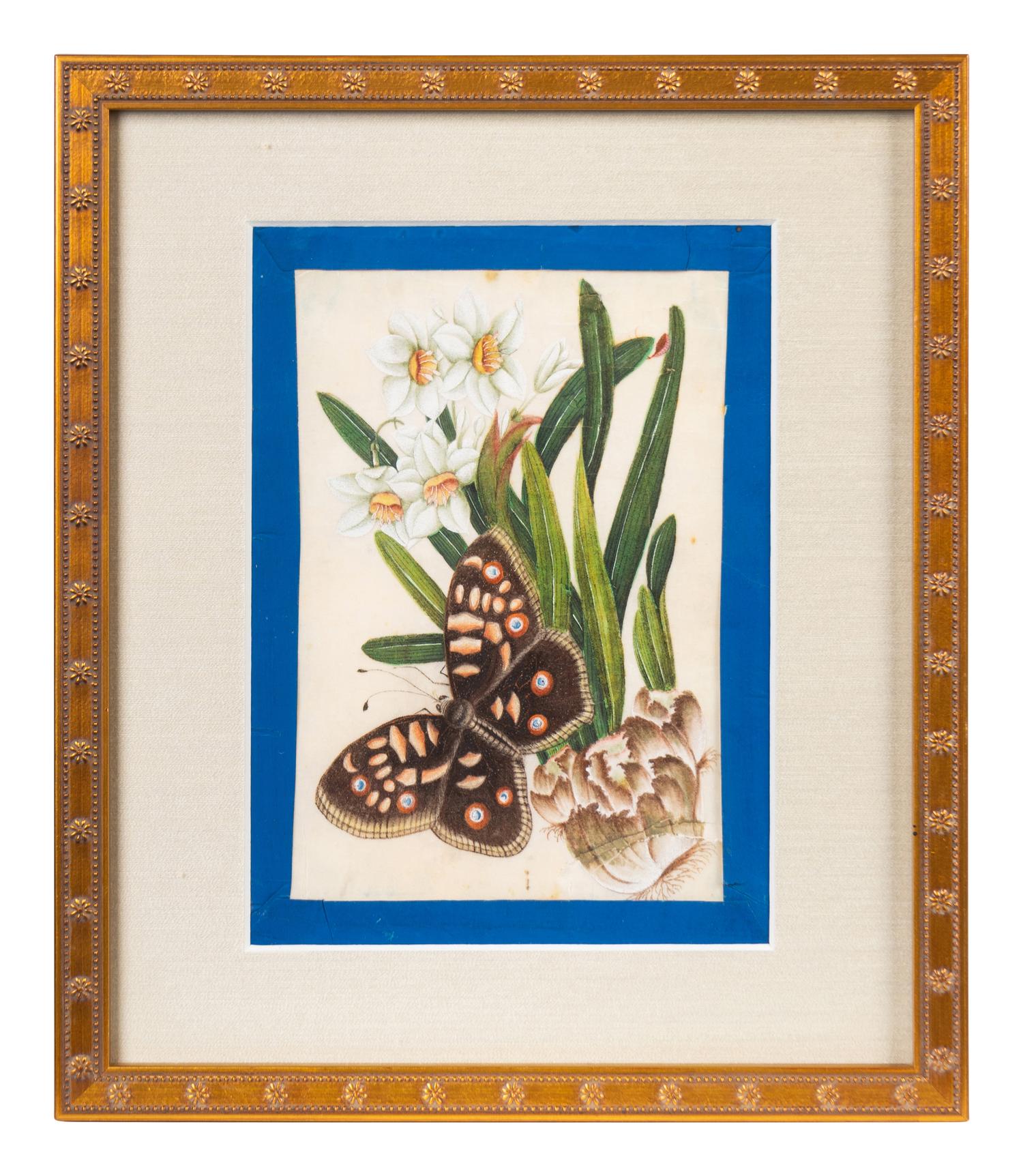 A Group of Six Chinese Pith Paintings of Butterflies and Flowers — 19TH/20TH CENTURY