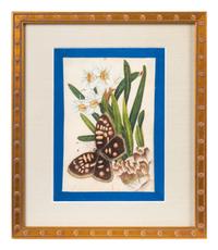 A Group of Six Chinese Pith Paintings of Butterflies and Flowers — 19TH/20TH CENTURY