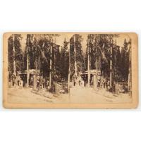 Colorado Stereoviews by T.C. Miller, Featuring Exceptional Images of of Miners and Mining Operations