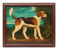 Beagle