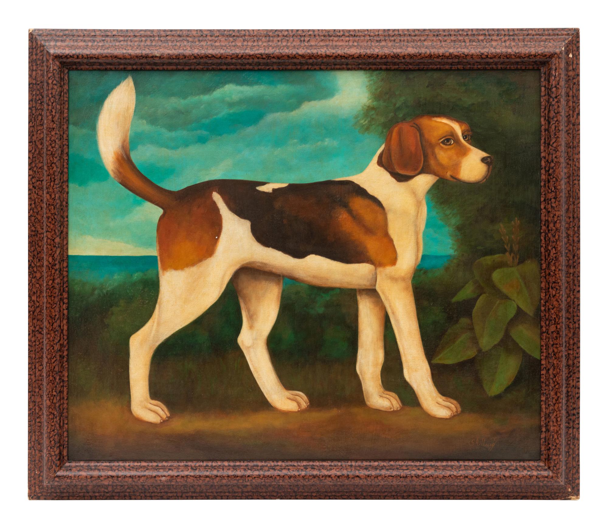 Beagle
