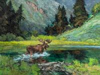 Moose & The Beaver Dam