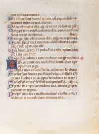 [BOOK OF HOURS]. A group of 25 leaves from medieval and renaissance manuscripts and printed books, including 5 or more from Otto Ege’s Fifty Original Leaves from Medieval Manuscripts. Western Europe: XII-XVI Century [compiled Cleveland, c.1950] and Original Leaves from Famous Bibles: Nine Centuries, 1121-1935 A.D [Compiled Cleveland, c.1950]. Various sizes, including: