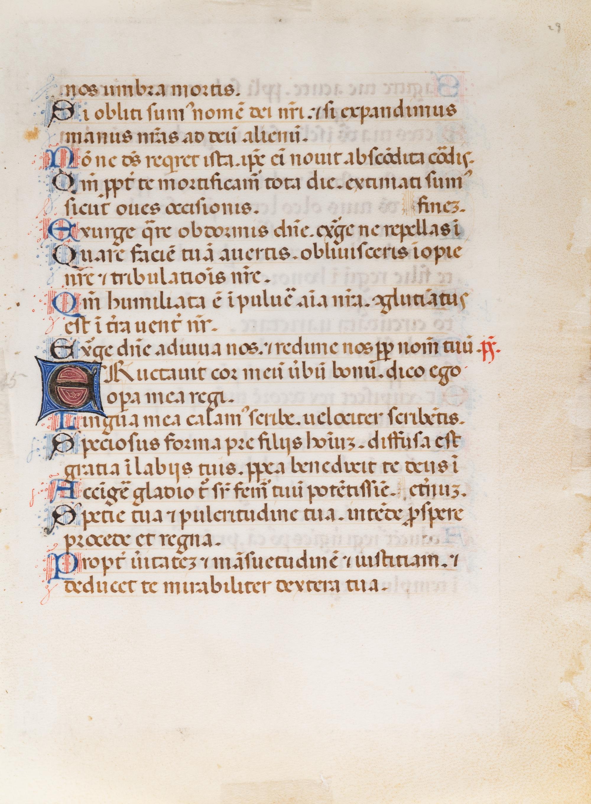 [BOOK OF HOURS]. A group of 25 leaves from medieval and renaissance manuscripts and printed books, including 5 or more from Otto Ege’s Fifty Original Leaves from Medieval Manuscripts. Western Europe: XII-XVI Century [compiled Cleveland, c.1950] and Original Leaves from Famous Bibles: Nine Centuries, 1121-1935 A.D [Compiled Cleveland, c.1950]. Various sizes, including: