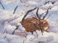 Sheltering in Snow , 2004