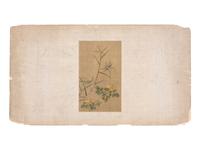 Six Chinese Paintings Depicting Flowers
