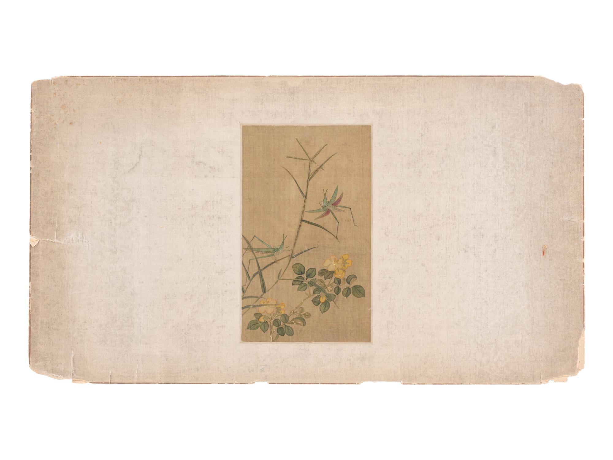 Six Chinese Paintings Depicting Flowers