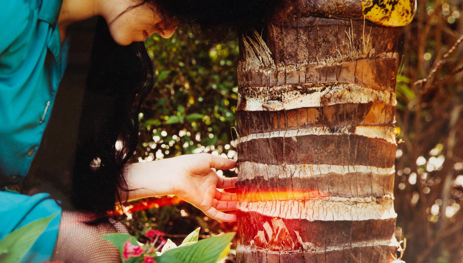 Black Hair Sewn into Coconut Palm #1, 1997