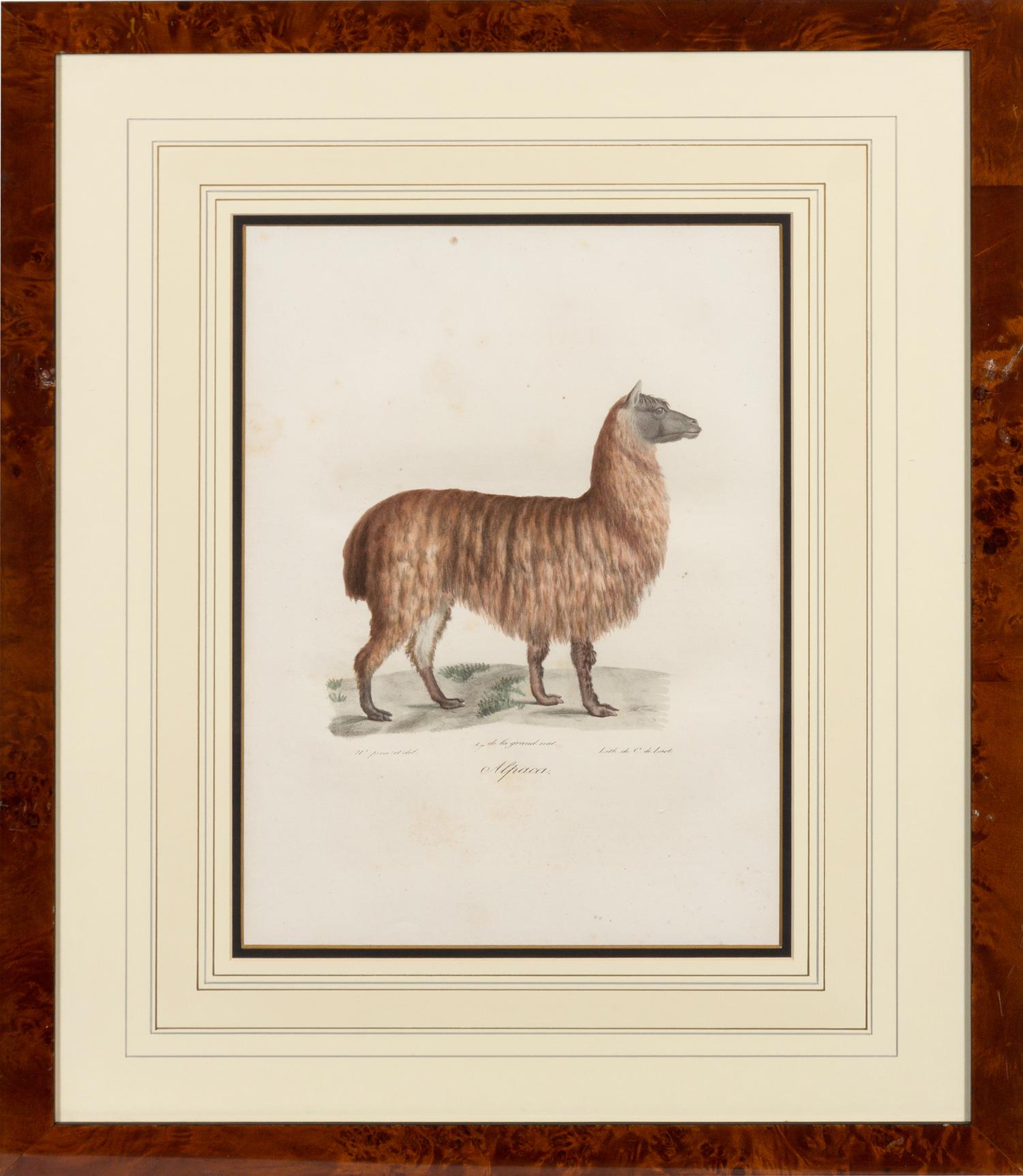 A Set of Six Animalier Prints 15 3/4 x 10 3/4 inches. — 19TH CENTURY